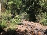 Iporã do Oeste decreta situação de emergência