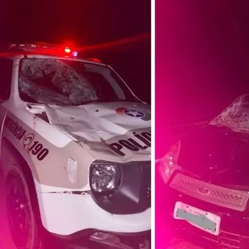 Cavalo foge, invade rodovia e morre ao ser atropelado 2 vezes seguidas em SC