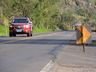 Dnit já concluiu 30% das obras nas BRs 158 e 282