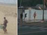 Sexo na praia e andar pelado: SC tem 86 condenados por ato obsceno em público