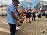 VÍDEO: Musikantentreffen reúne diversos músicos na 42ª Oktoberfest