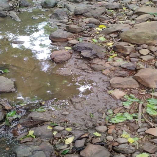 Polícia Ambiental investiga poluição hídrica em Itapiranga
