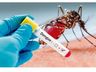 São Miguel do Oeste tem 45 casos de dengue confirmados