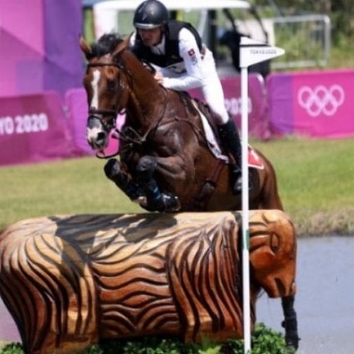 Cavalo sofre lesão durante prova dos Jogos de Tóquio e é sacrificado