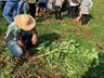 Guarujá do Sul realiza mais uma atividade do programa “Junho Verde”  