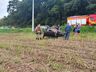 Duas pessoas ficam feridas em saída de pista em São José do Cedro