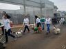 IPORÃ DO OESTE: Desfile cívico movimenta a Avenida Gustavo Fetter; assista