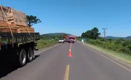 Carro sai de pista, bate em colmeia e pessoas são atacadas por abelhas