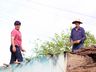 Mutirão ajuda famílias atingidas por chuva de granizo em Bandeirante