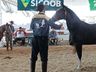 Cavalos crioulos de Itapiranga são avaliados na 11ª Efrait