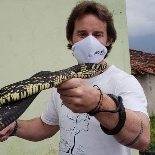 Morador encontra cobra de 1,5 metro em quarto de ferramentas em SC