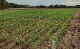 Epagri intensifica ações para recuperação de áreas agrícolas no Estado