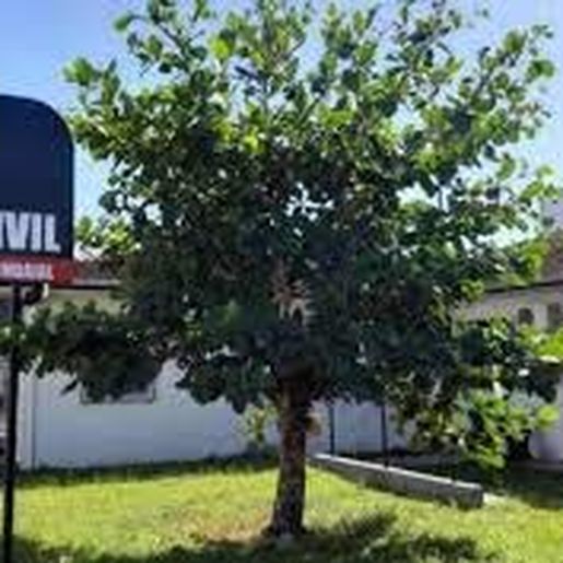 Bebê de um mês de vida morre após ser espancado em Santa Catarina 