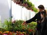 Central Flor, Floricultura e Paisagismo comemora 1 ano em São Miguel do Oeste