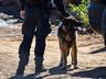 Polícia Civil realiza operação em comunidade de São Miguel do Oeste