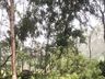 Temporal causa estragos em São Miguel do Oeste; fotos