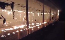 Incêndio em aviário de Marmeleiro mobiliza bombeiros de Campo Erê