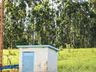 OUÇA: Peperi anuncia projeto para Parque Florestal na Linha Emboaba