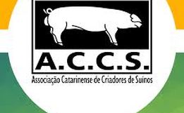 ACCS considera que tarifas não impactam na suinocultura