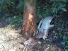 Colisão em árvore deixa feridos na SC-163 em Itapiranga 