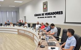 Câmara aprova projeto de Política de Combate à Pobreza Menstrual