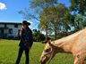 VÍDEO: Relação entre humanos e cavalos traz benefícios para o corpo e mente 