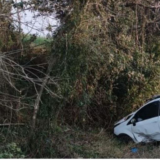 Professor de São Miguel do Oeste morre após capotamento na BR-280