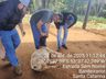 Projeto leva assistência técnica a criadores de ovinos em Bandeirante