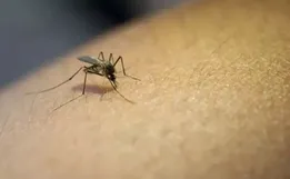 SC vai reforçar combate à dengue após repasse de R$ 1 milhão do Ministério da Saúde