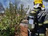 Casa é destruída por incêndio no interior de Riqueza