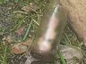 Homem descobre pênis decepado dentro de pote no jardim da casa da mãe