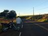 Cachorro atravessa pista e causa queda de motociclista na SC 496