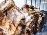 São Miguel do Oeste vai sediar campeonato de costela de fogo de chão