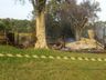 Incêndio destrói galpão no interior de Romelândia