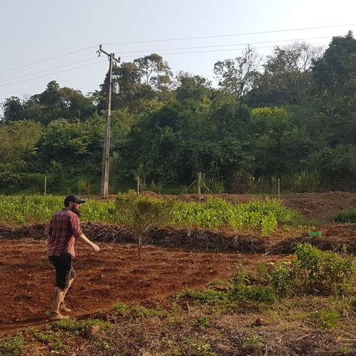 Zootecnista inicia projeto de agroflorestal em Itapiranga 