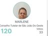 Conselho Tutelar: Confira os cinco eleitos em Tunápolis e São João do Oeste