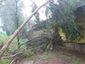 Vento e chuva provocam destelhamento de casas em Palma Sola