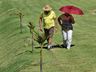 VÍDEO: Memorial Jardim dos Ipês realiza homenagem ecumênica de Dia de Finados