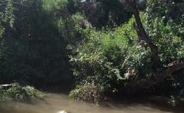 Veículo com três pessoas cai no Rio Uruguai