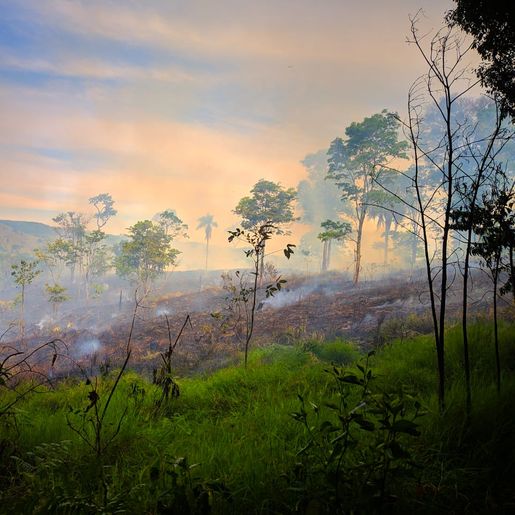 Incêndio atinge área de 100 mil metros quadrados