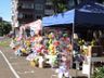 Abertas inscrições para interessados em vender flores e velas em frente ao cemitério