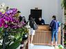 Central Flor, Floricultura e Paisagismo inaugura em São Miguel do Oeste