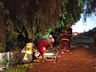 Veículo sai de pista, cai em barranco e quase atinge residência em SMOeste 