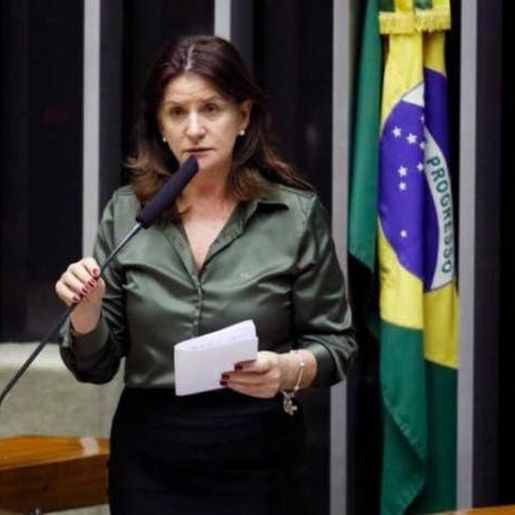 Deputada Carmen Zanotto é convidada para assumir a Secretaria da Saúde de SC