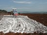 Secretaria de Agricultura realiza entrega de 300 toneladas de calcário