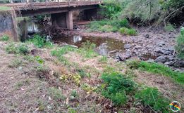 Municípios registram grandes prejuízos com a seca