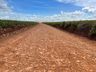 Administração Municipal terceiriza obras na linha Agroísa