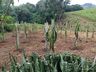 Aluno egresso da Casa Familiar Rural tem projeto aprovado em Feira Nacional e avança de etapa