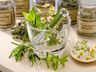 Escritório da Epagri em SJCedro esclarece dúvidas sobre plantas medicinais