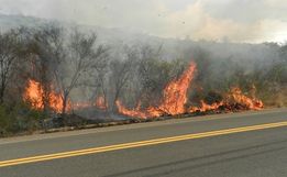 Bombeiros registram aumento de incêndios às margens das rodovias